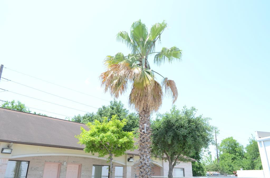 Texan Inn & Suites Louetta Exterior foto